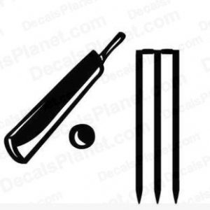 black cricket bat